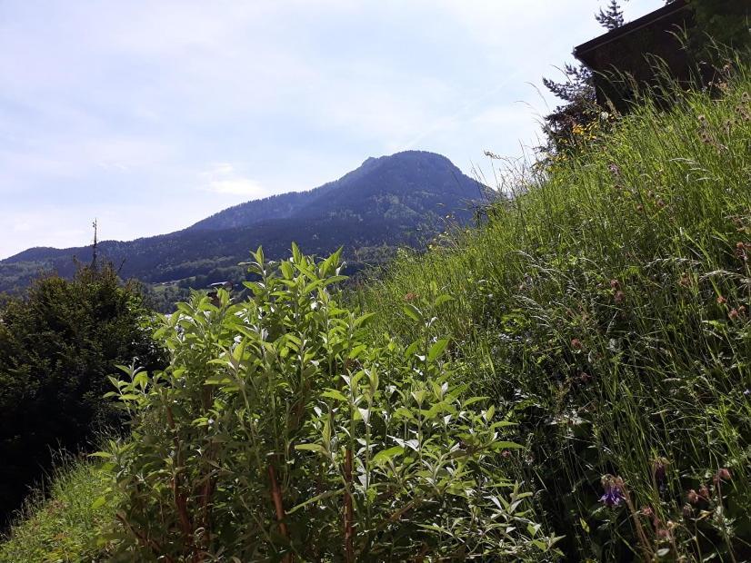 Ferienwohnung Fendt Berchtesgaden Esterno foto